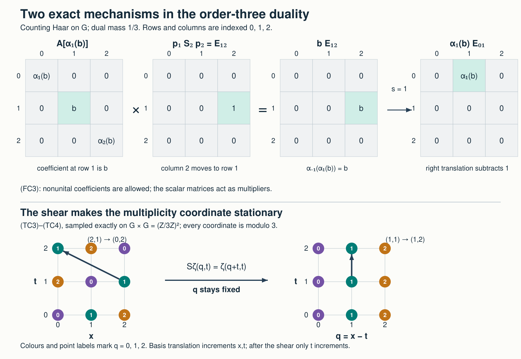 The order-three coefficient correction and surviving action