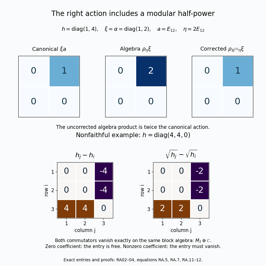 The modular half-power corrects a factor of two; a nonfaithful functional and its cone vector have the same allowed commutant blocks.