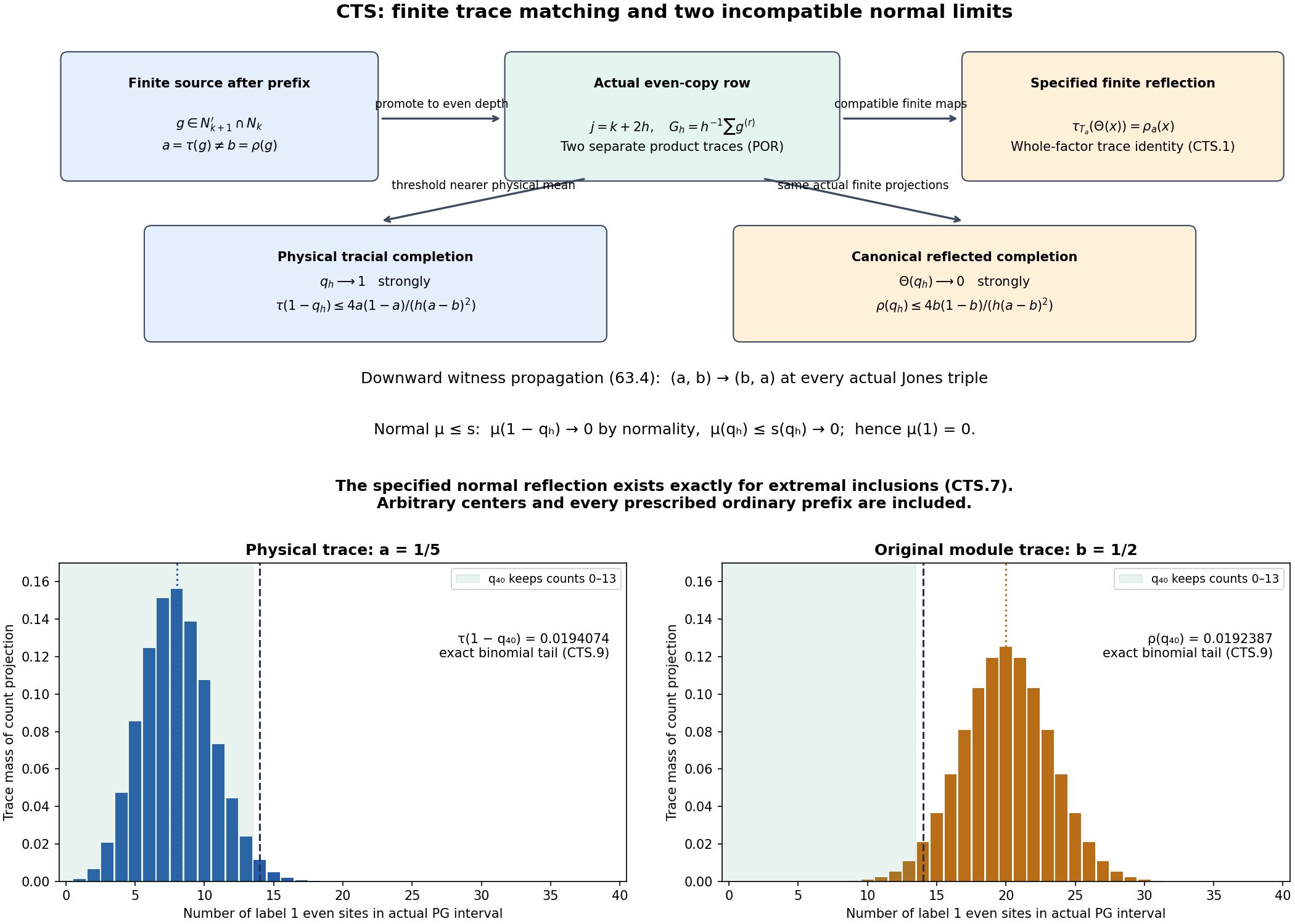 The actual finite trace match, downward witness propagation, and concentration projections separating two tracial completions