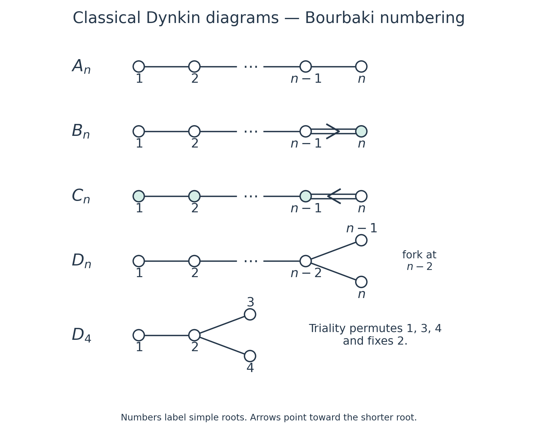 Numbered classical Dynkin diagrams, with arrows toward shorter roots