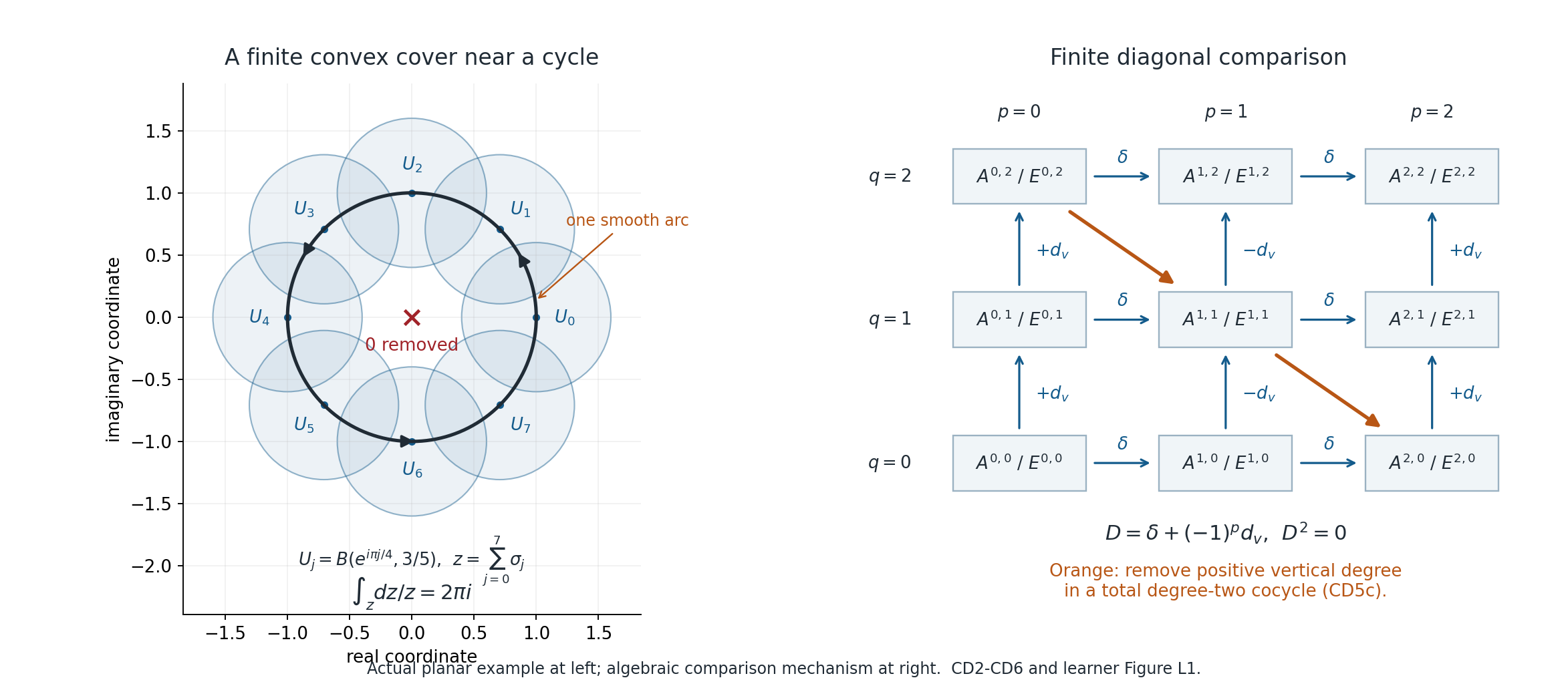 A convex-ball cover near a unit-circle cycle, and the finite comparison grid.