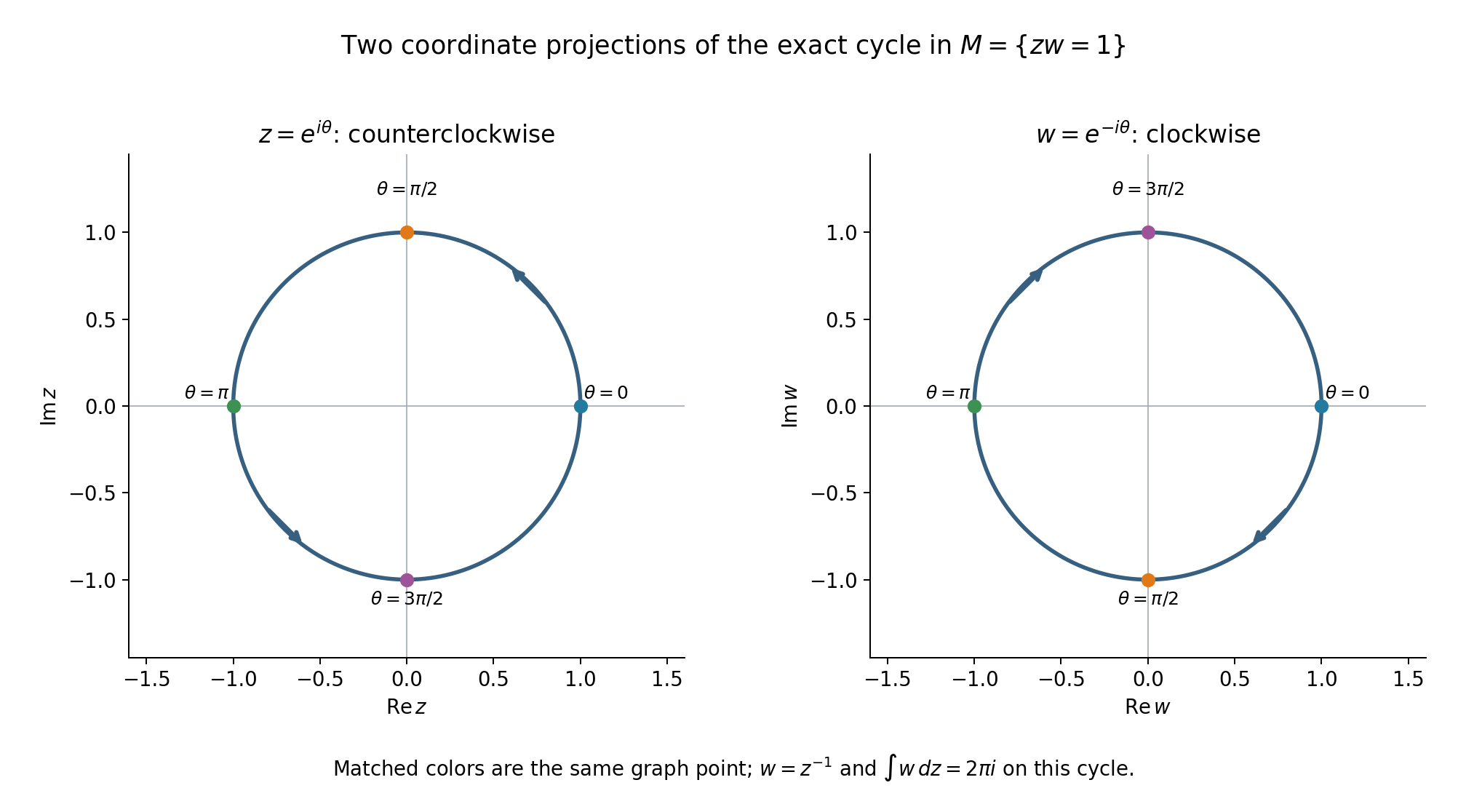 The z and w projections of the same oriented circle in the graph zw=1.