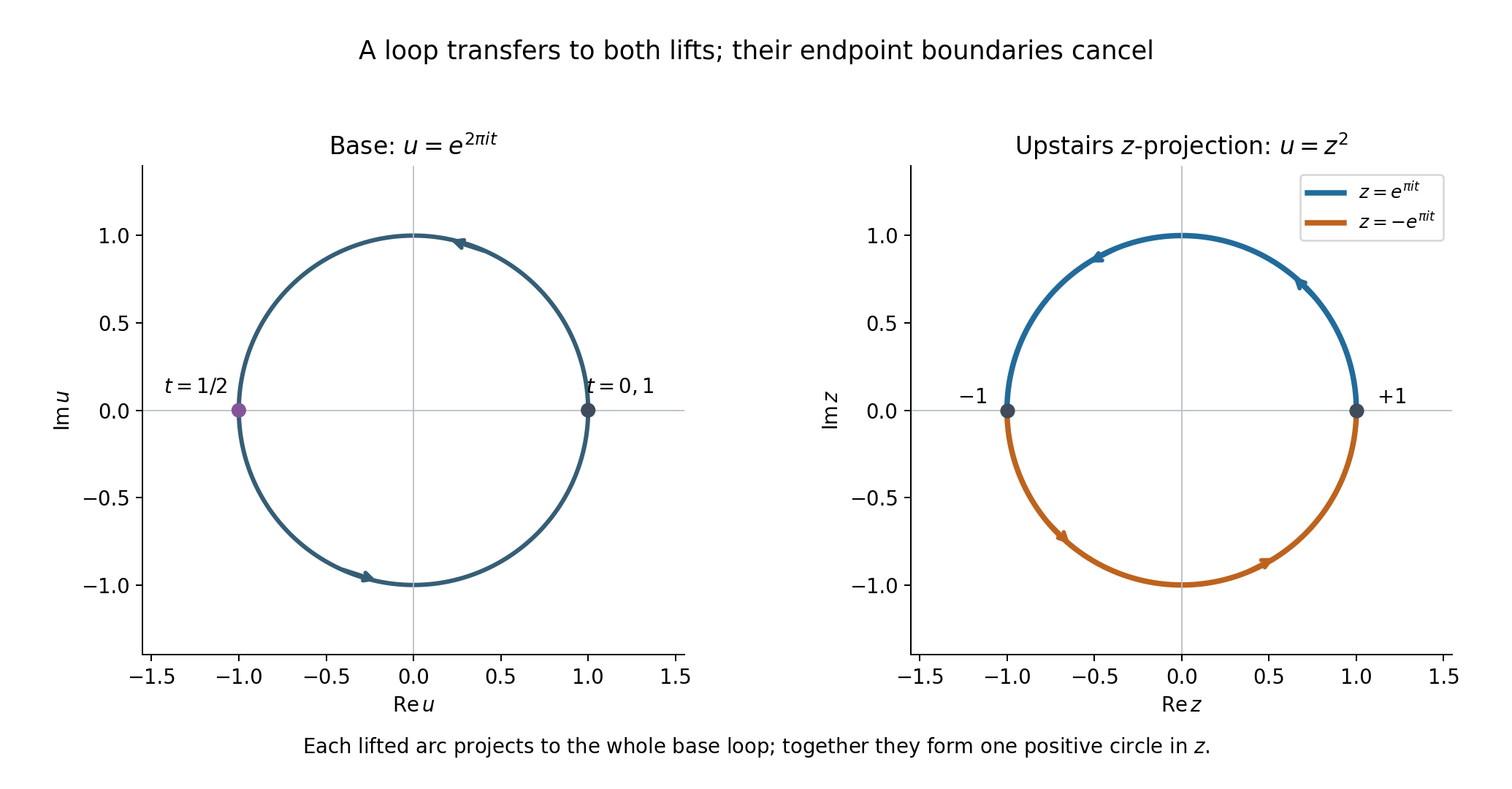 A whole loop in the base and its two half-circle lifts, whose endpoints cancel in the transfer.